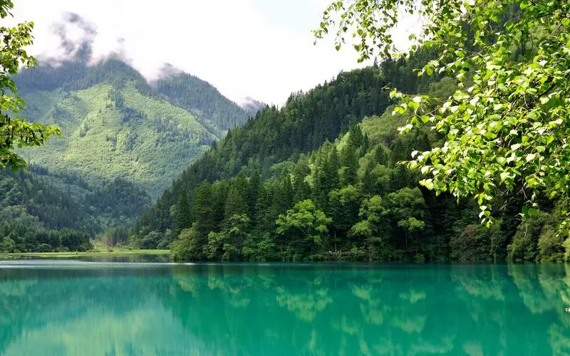 高标准高性能